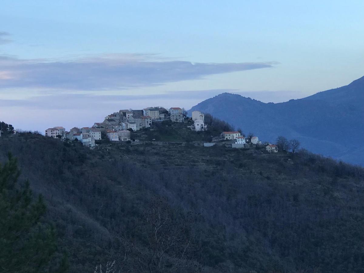 Chambres Dhotes Corse Venaco  Esterno foto