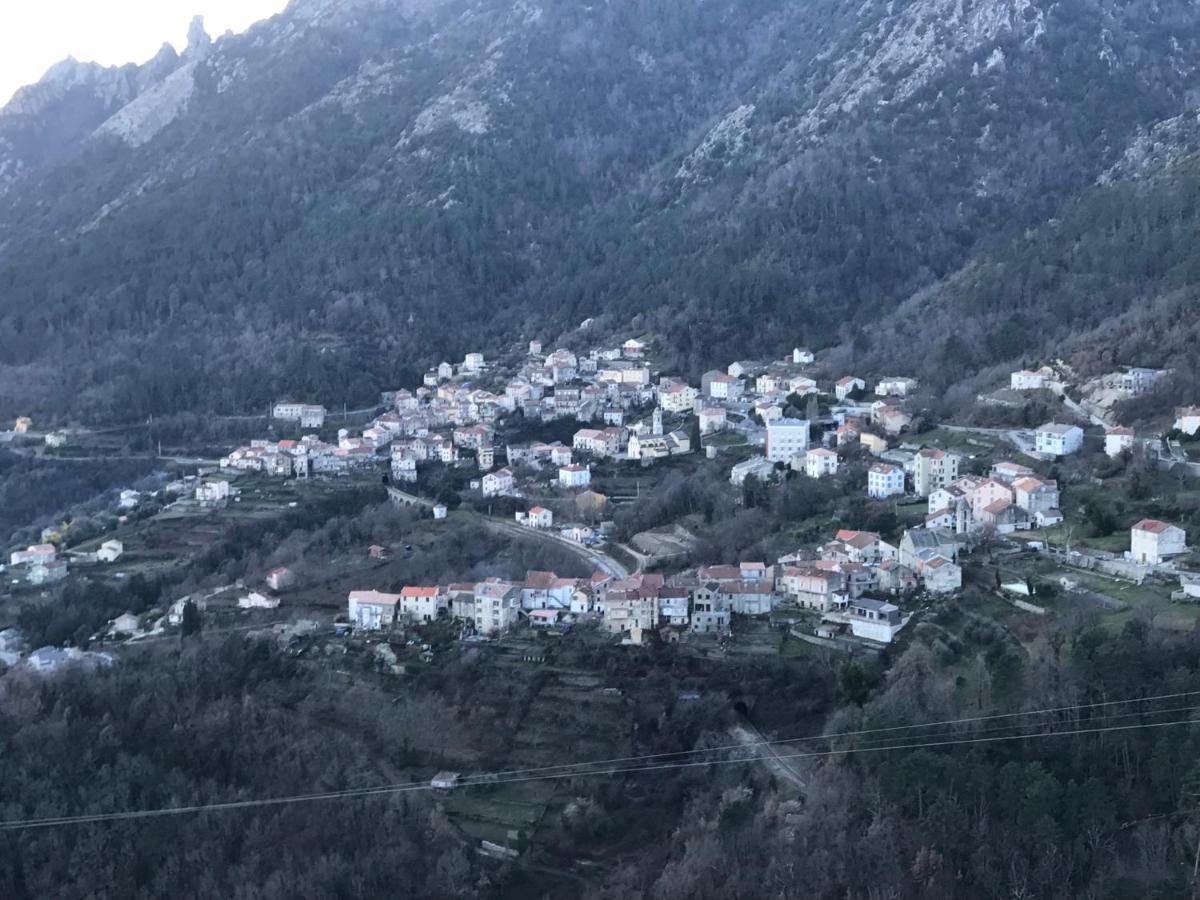 Chambres Dhotes Corse Venaco  Esterno foto