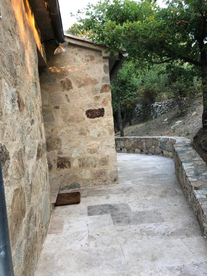 Chambres Dhotes Corse Venaco  Esterno foto